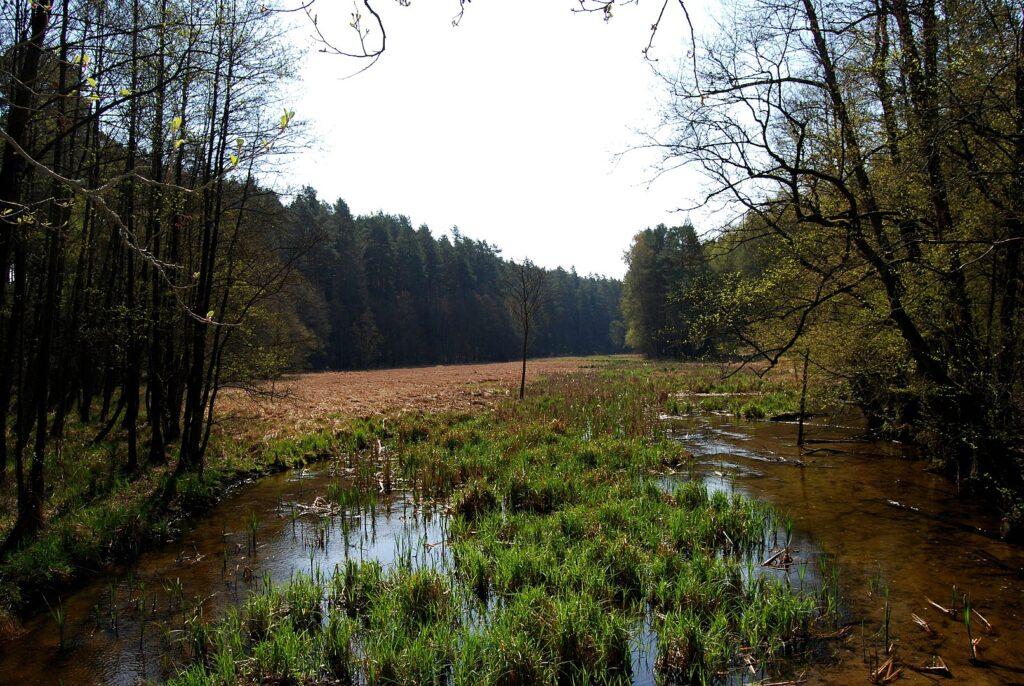 Tucholski Park Krajobrazowy