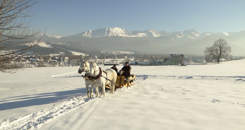 magiczny kulig zakopane