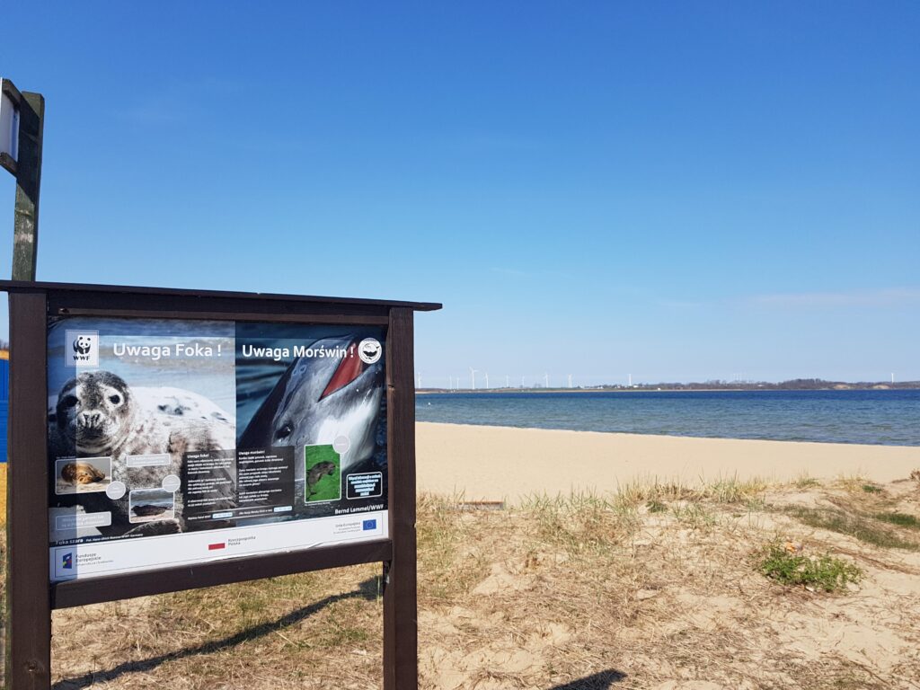 Puck - plaża zielona