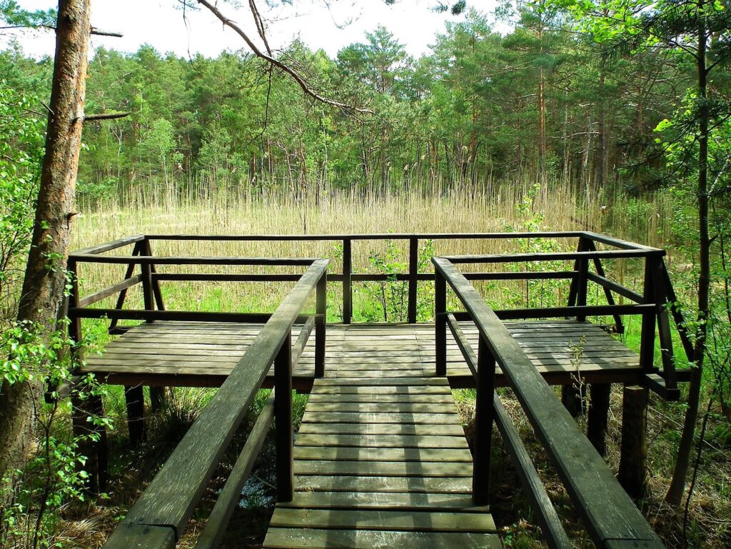 Przemkowski Park Krajobrazowy