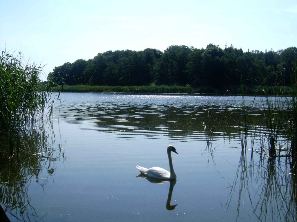 Przemęcki Park Krajobrazowy