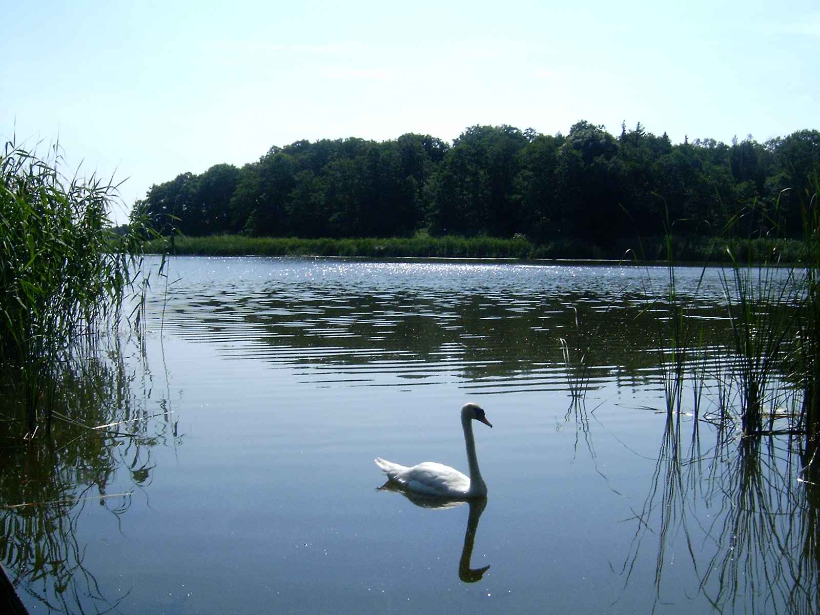 Przemęcki Park Krajobrazowy