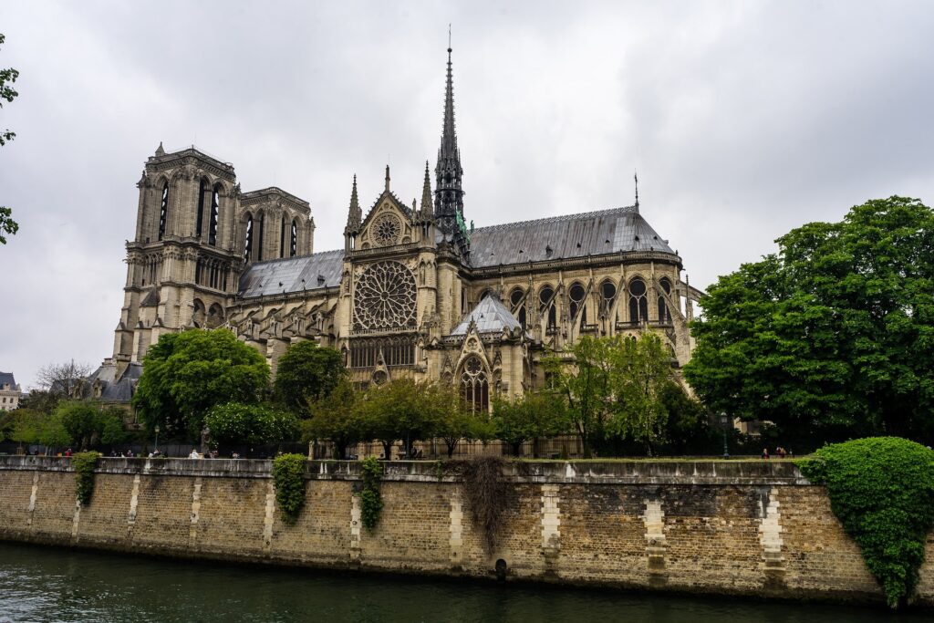 katedra notre dame