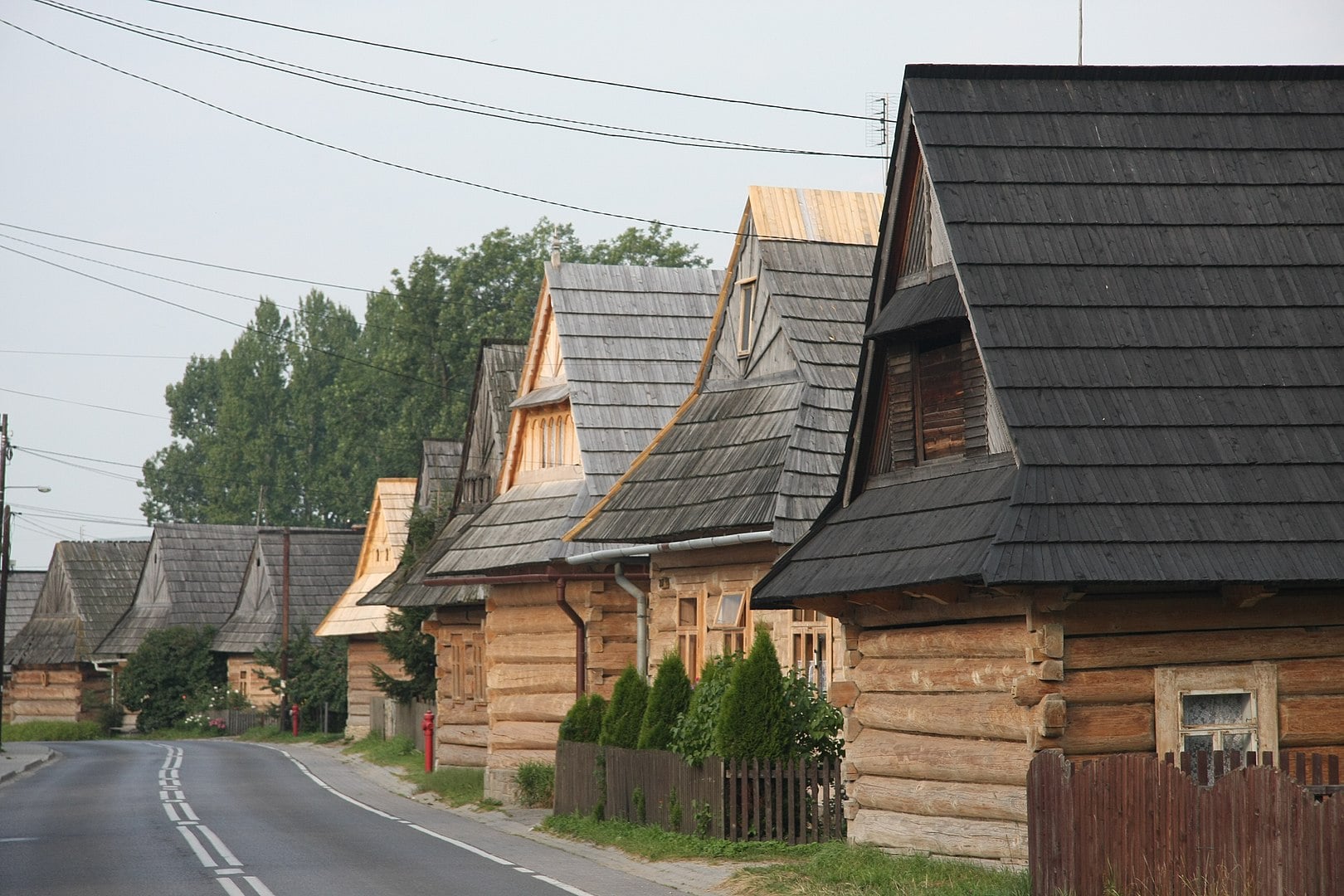 termy chochołów