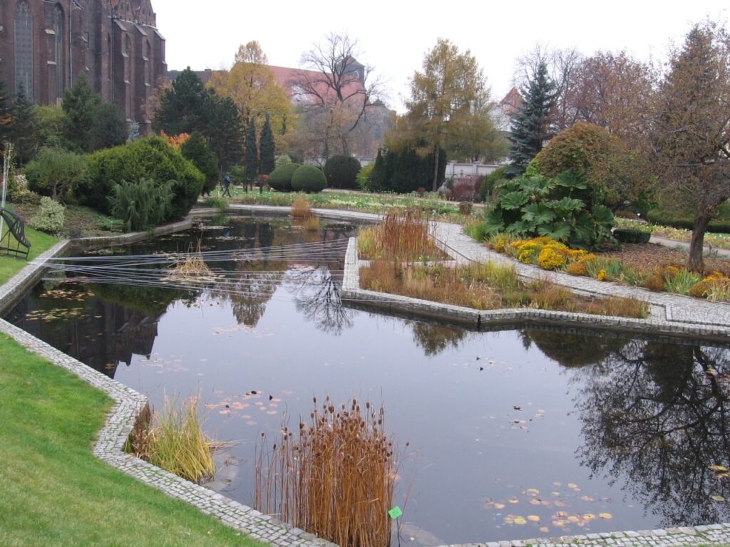 ogród botaniczny wrocław