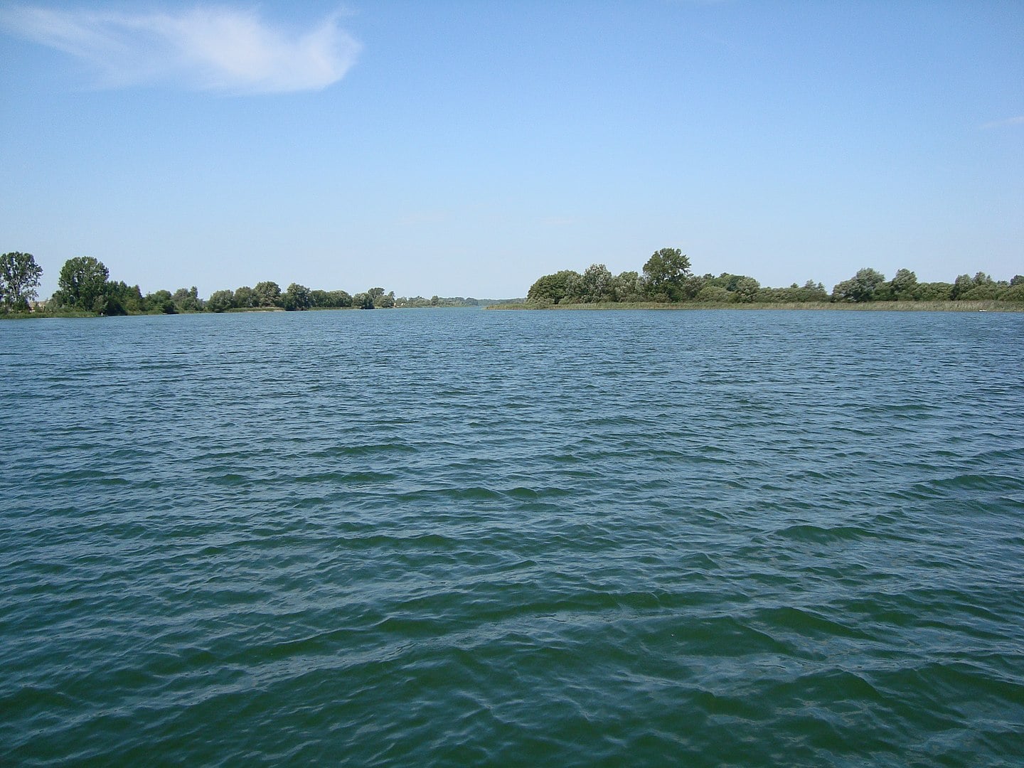 gopło