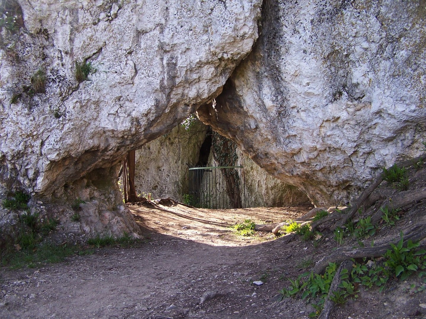 jaskinia nietoperzowa