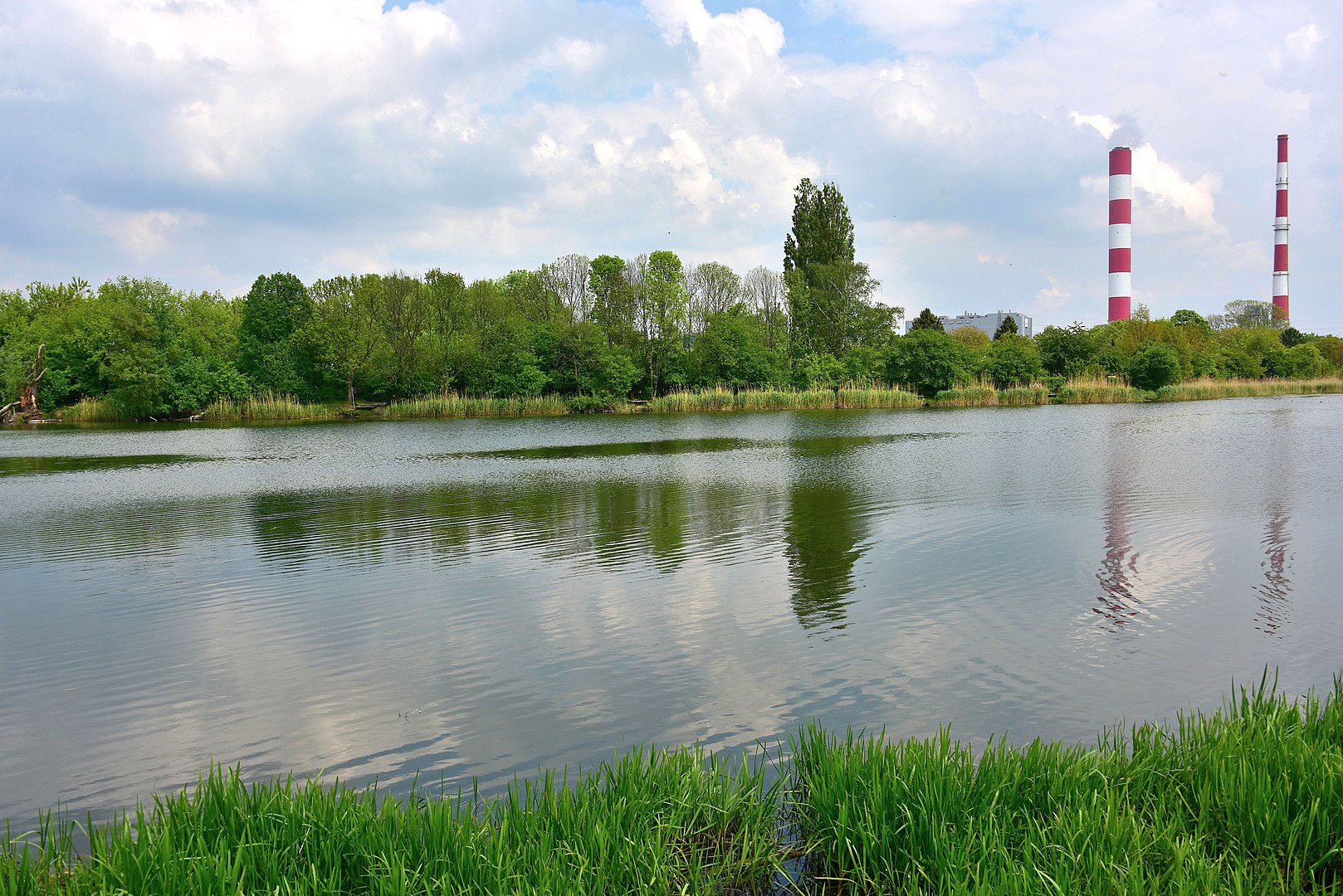 jezioro czerniakowskie