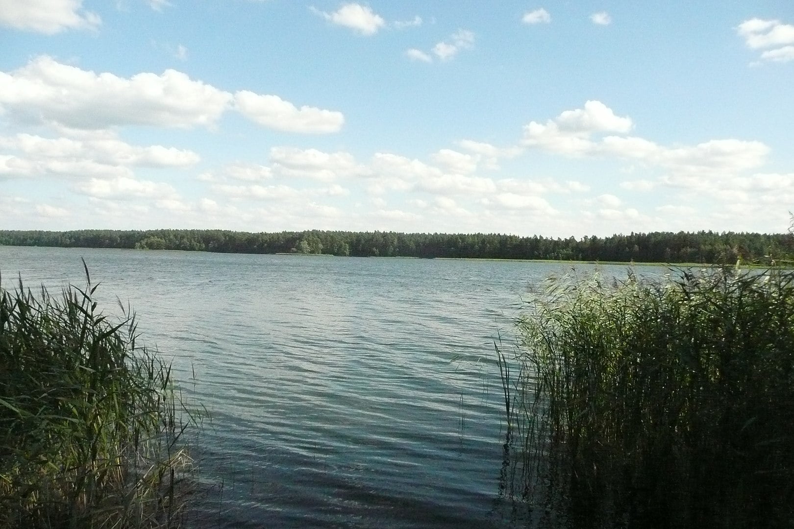 jezioro sajno