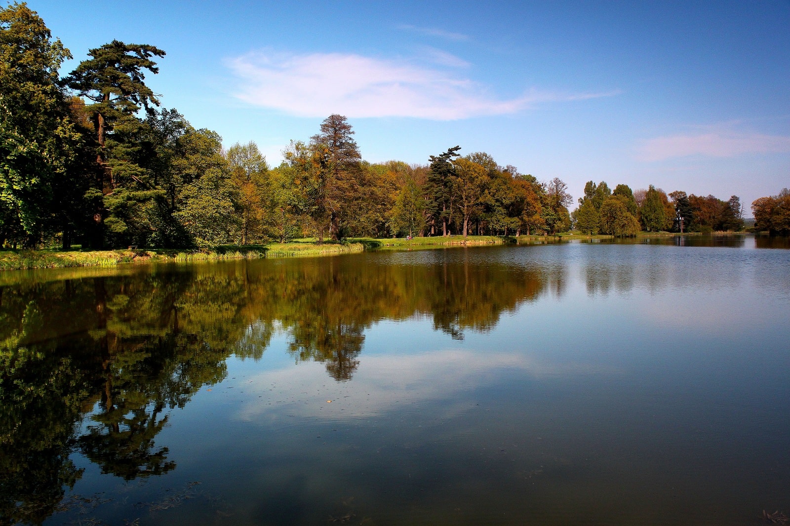 park świerklaniec