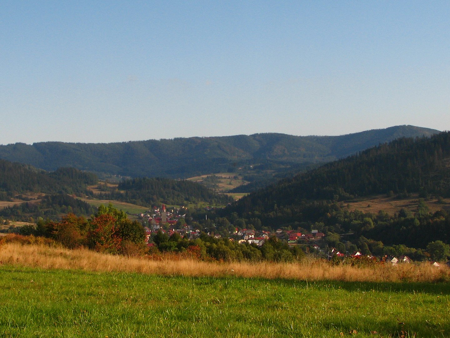 ujsoły