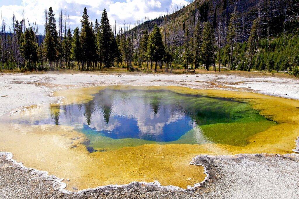 park yellowstone