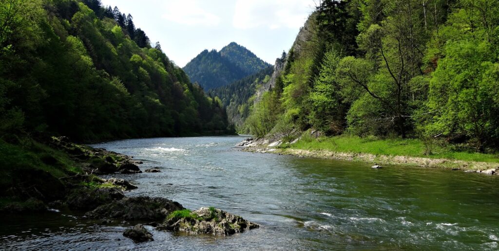 dunajec