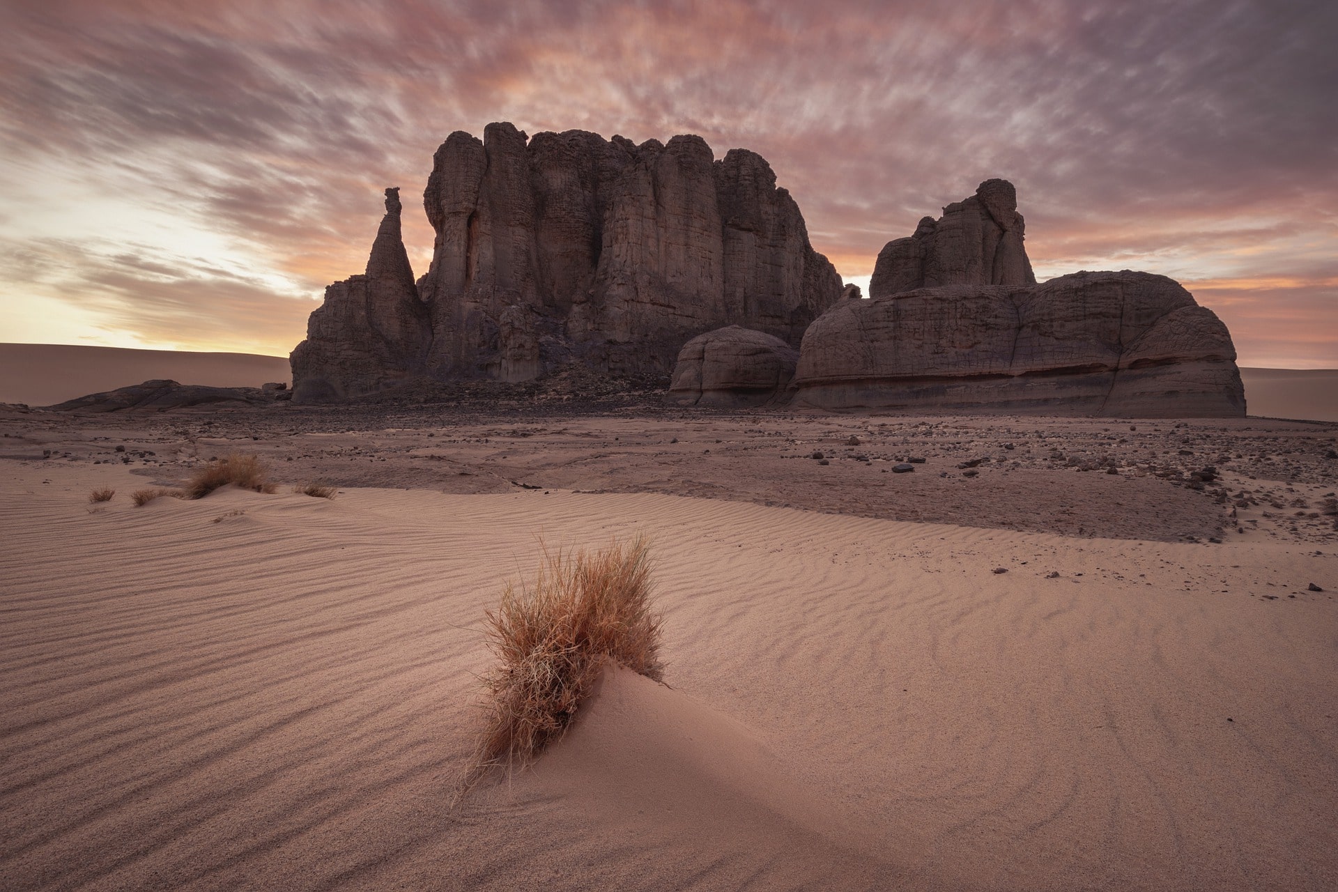 sahara