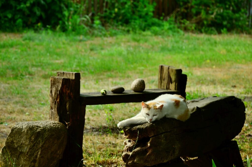 podlaskie atrakcje dla dzieci