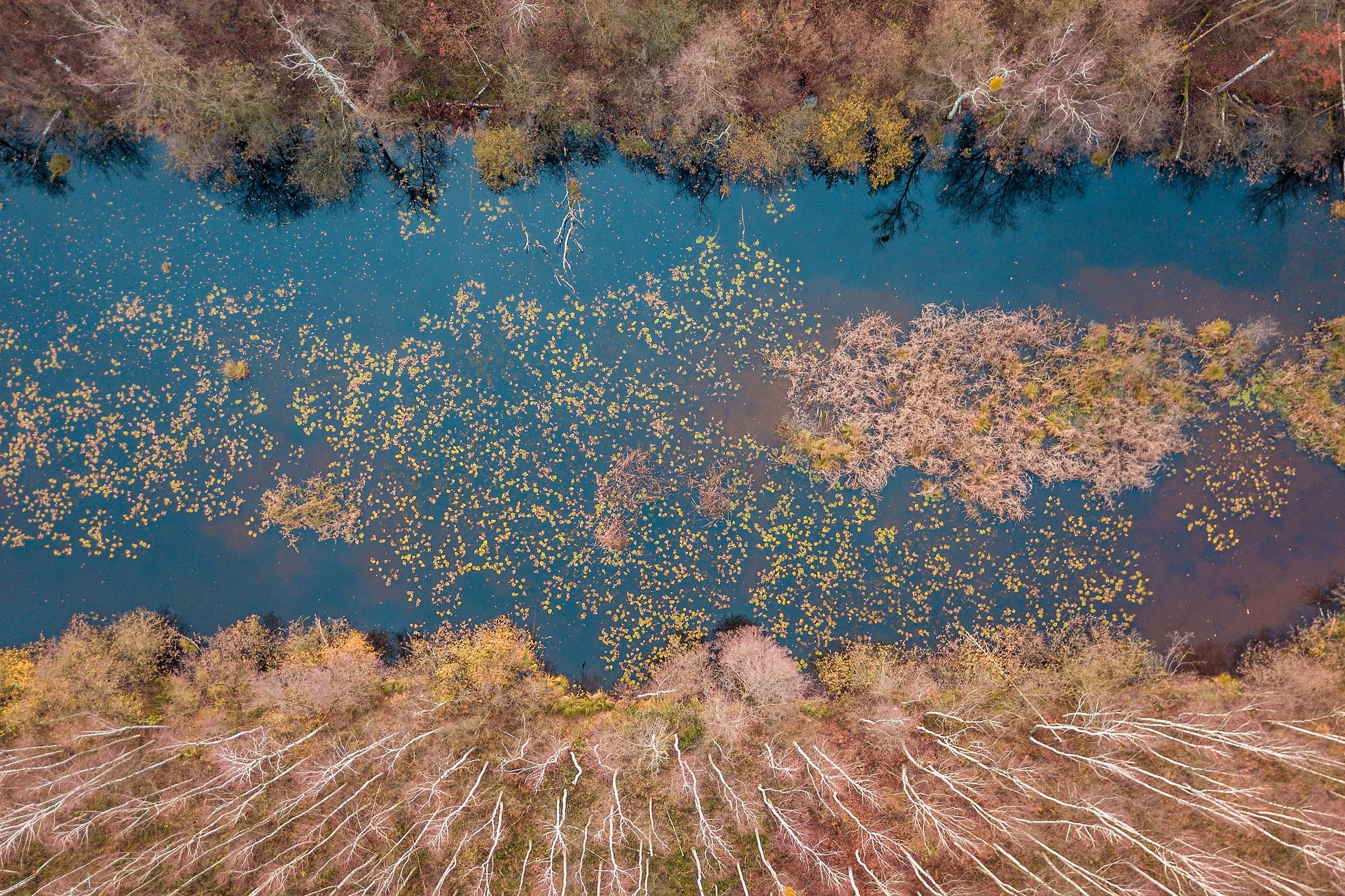 wielkopolska atrakcje dla dzieci
