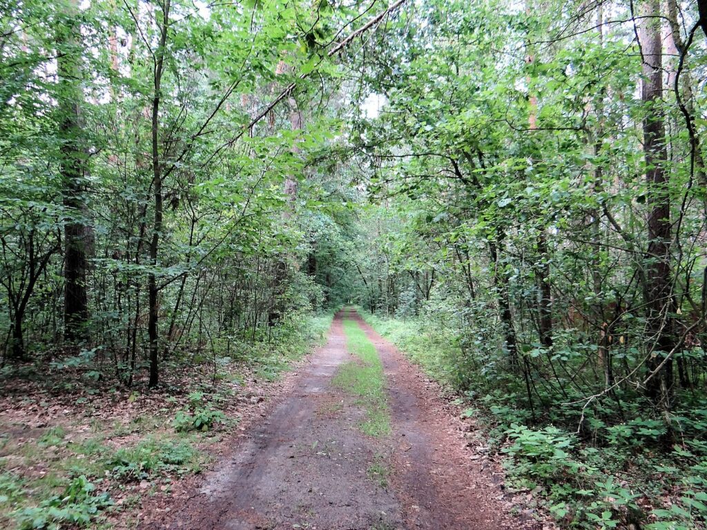 Bolimowski Park Krajobrazowy