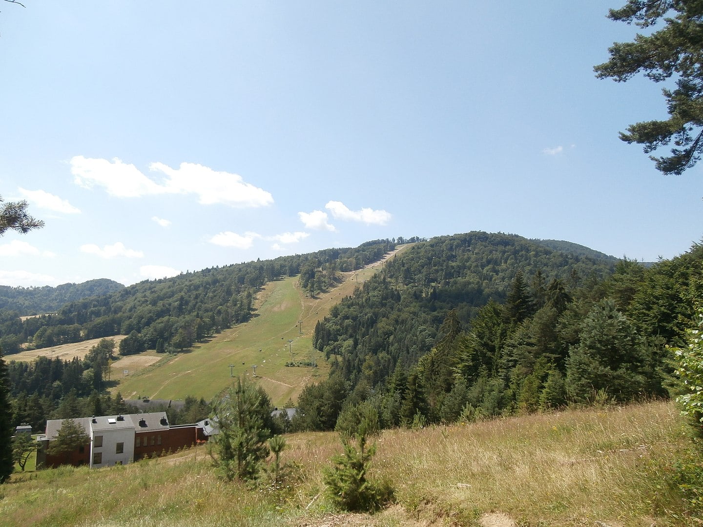 Jaworzyna Krynicka