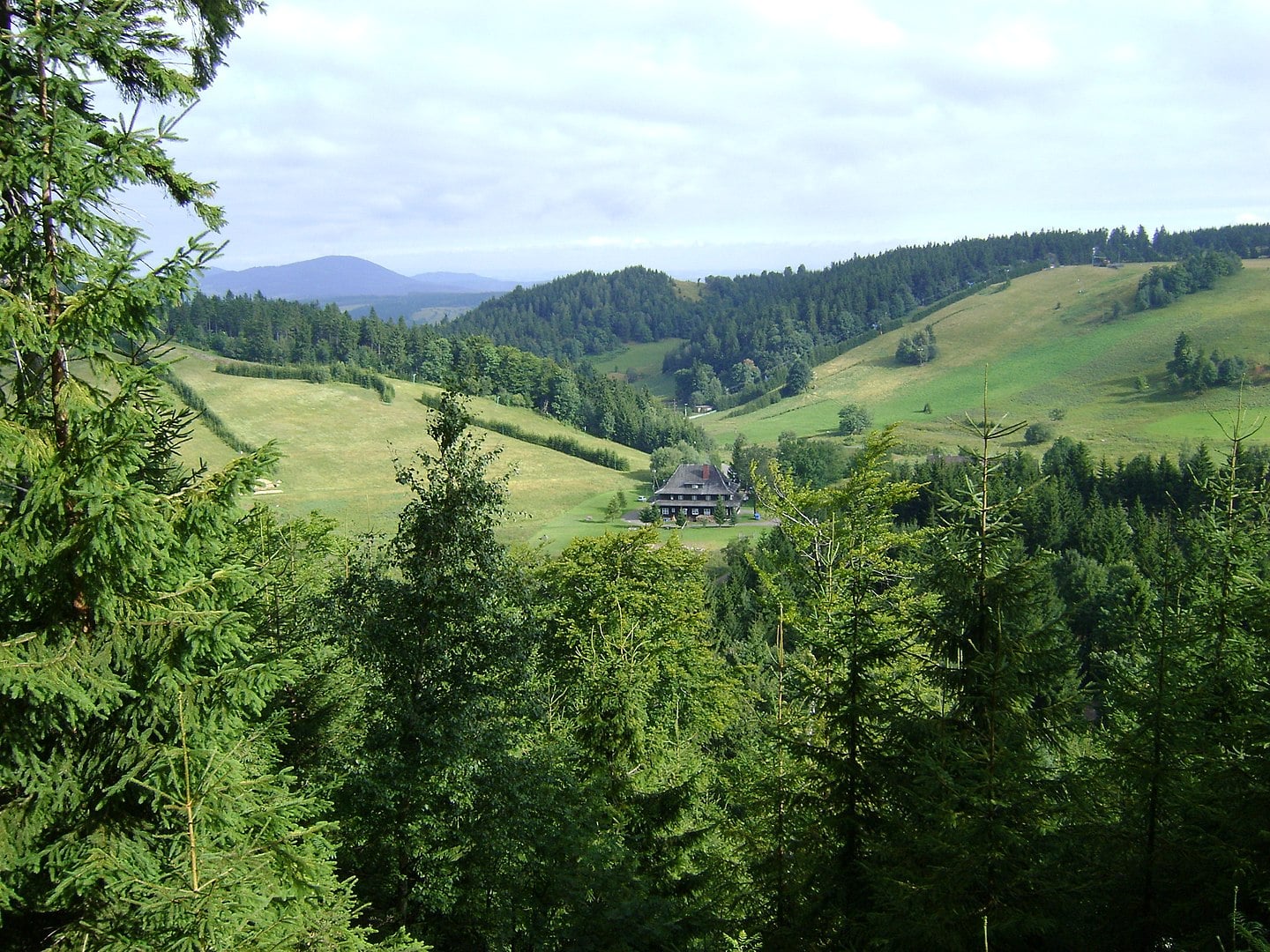 kamienna góra