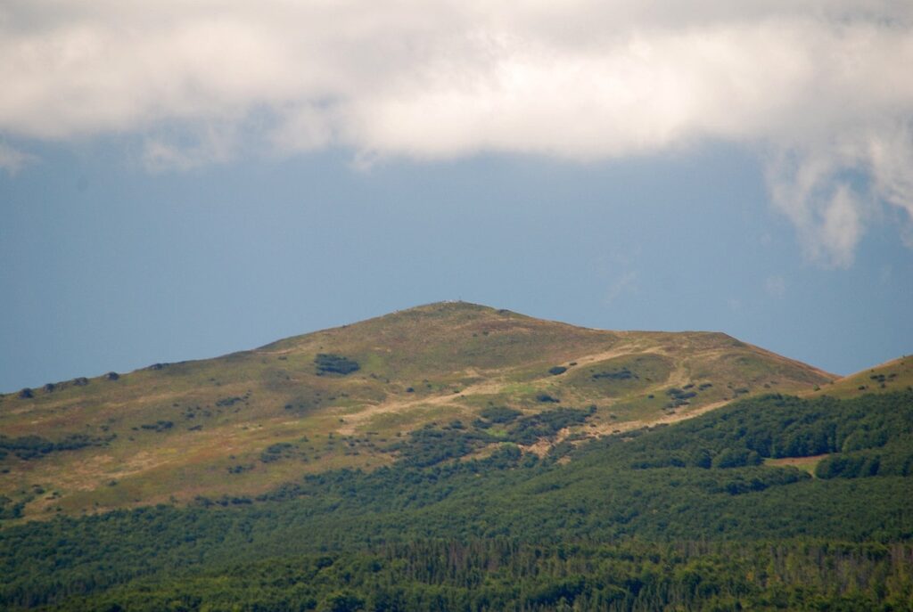 foto - Autorstwa Henryk Bielamowicz - Praca własna, CC BY-SA 4.0, https://commons.wikimedia.org/w/index.php?curid=98549455