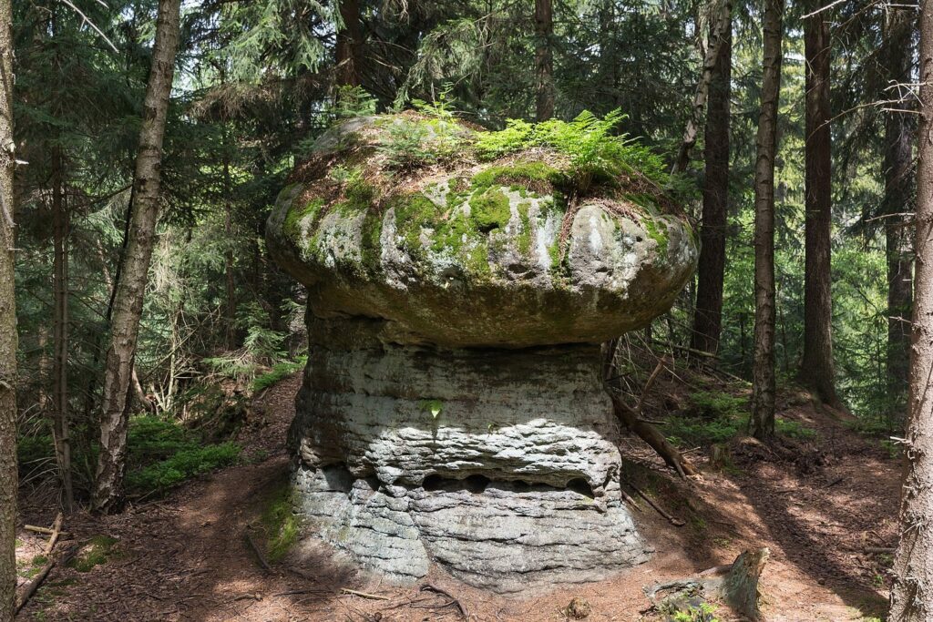 skalne grzyby