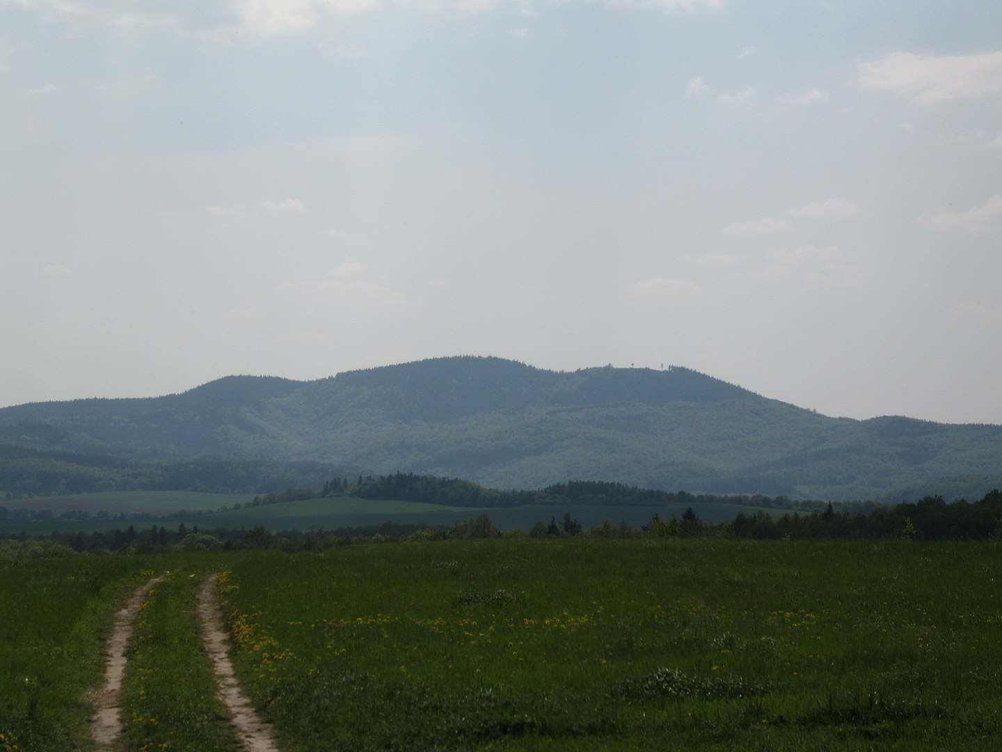 trójgarb
