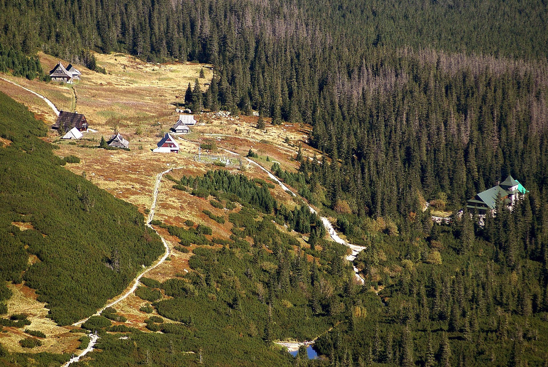 dolina gąsienicowa