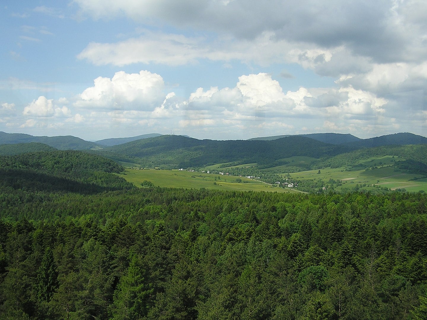 Jaśliska