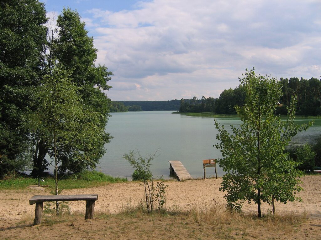 Brodnicki Park Krajobrazowy
