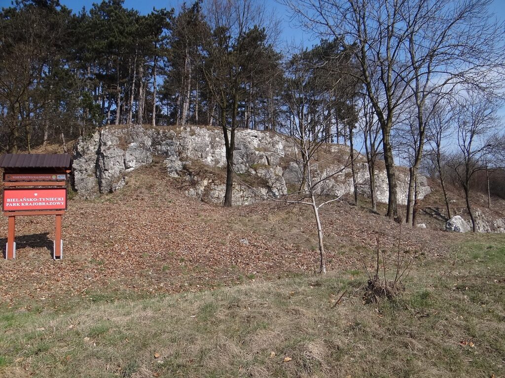 Bielańsko-Tyniecki Park Krajobrazowy