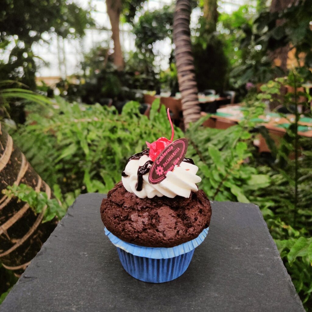 restauracja palmiarnia