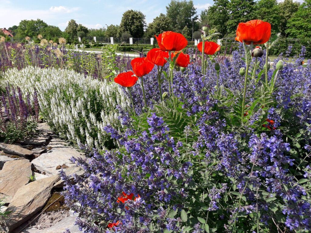 atrakcje dla dzieci kielce - Geonatura Kielce - Ogród Botaniczny