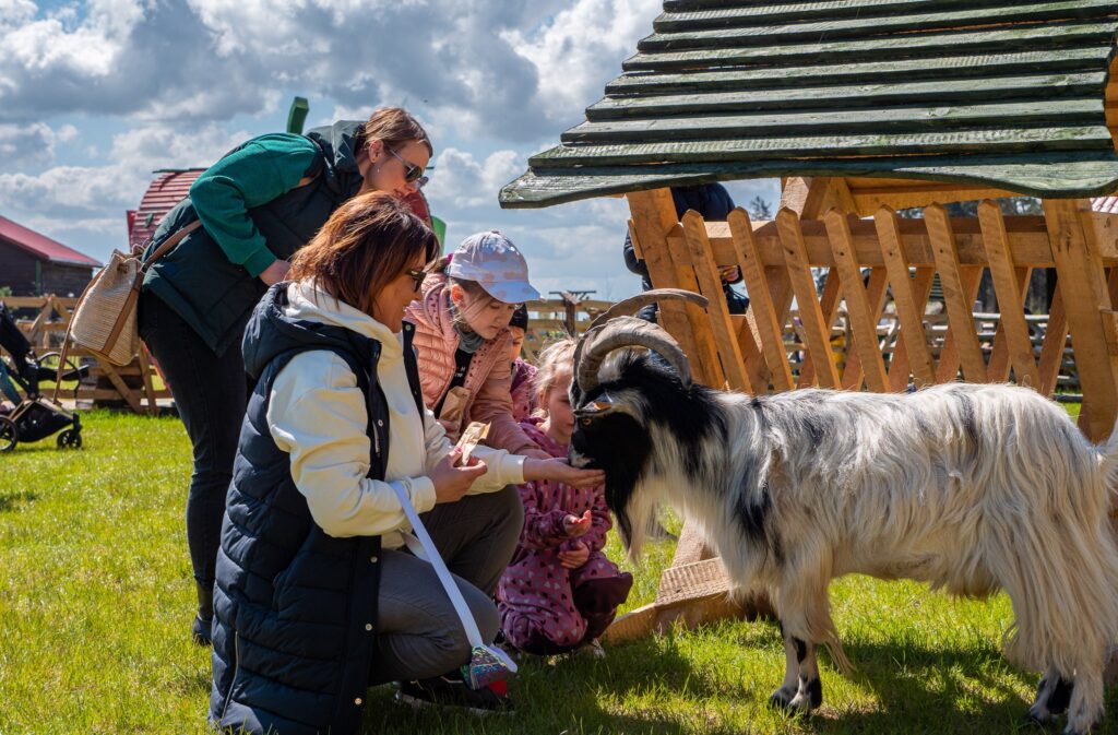 atrakcje łeba - farma alexa