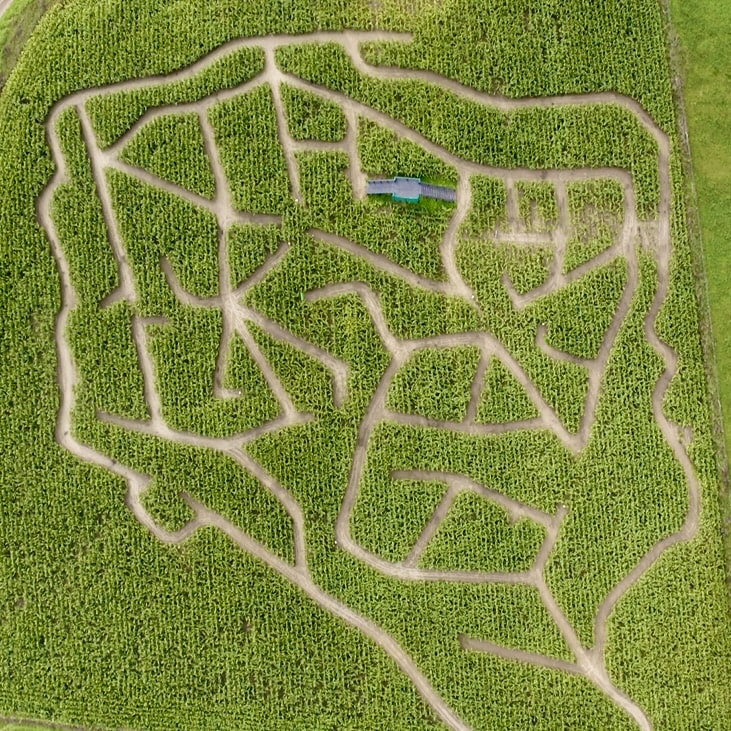 atrakcje łeba - farma alexa