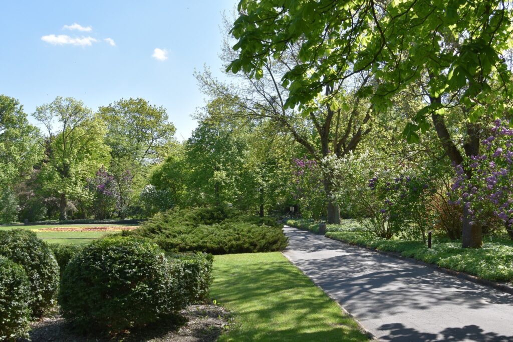 atrakcje dla dzieci poznań - ogród botaniczny