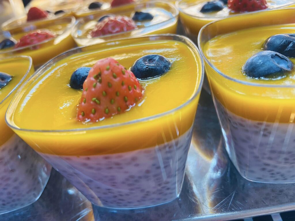 weranda ogrodnica jastarnia