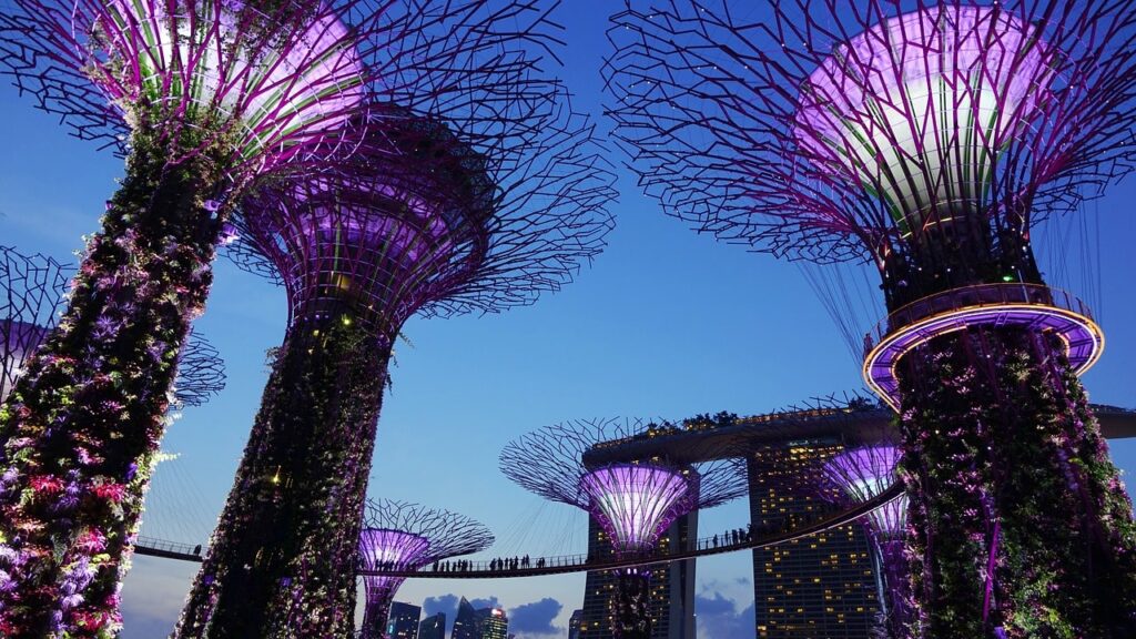 gardens by the bay