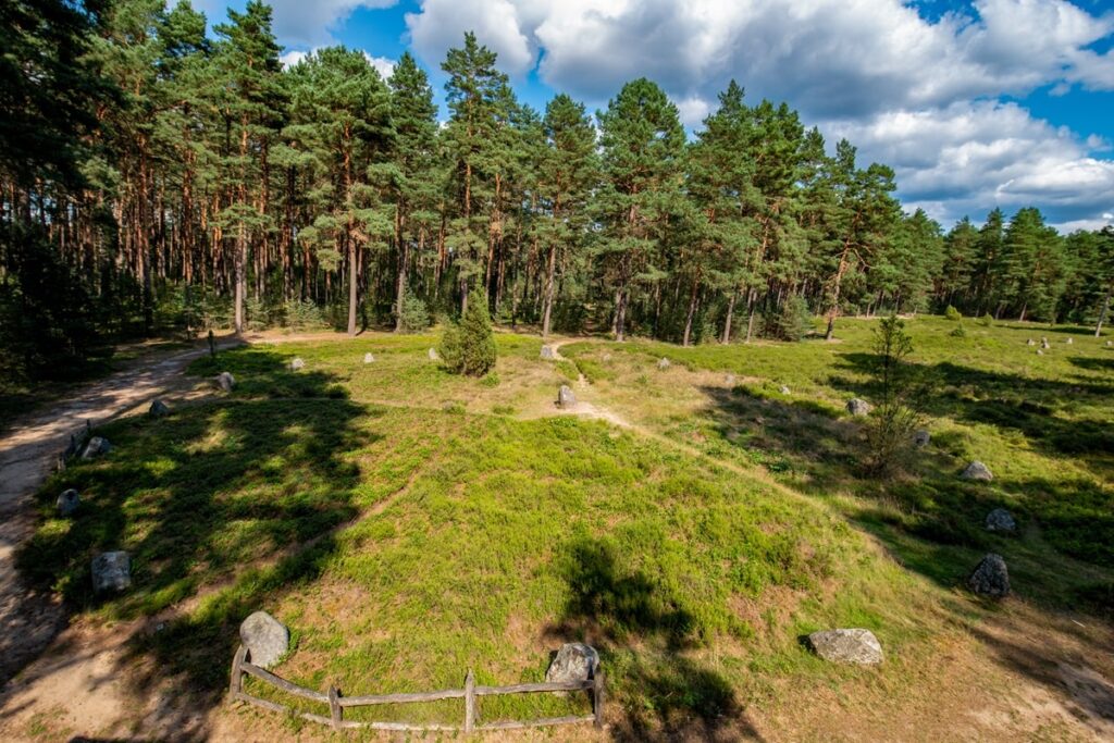 Propozycja nr 2: Bory Tucholskie